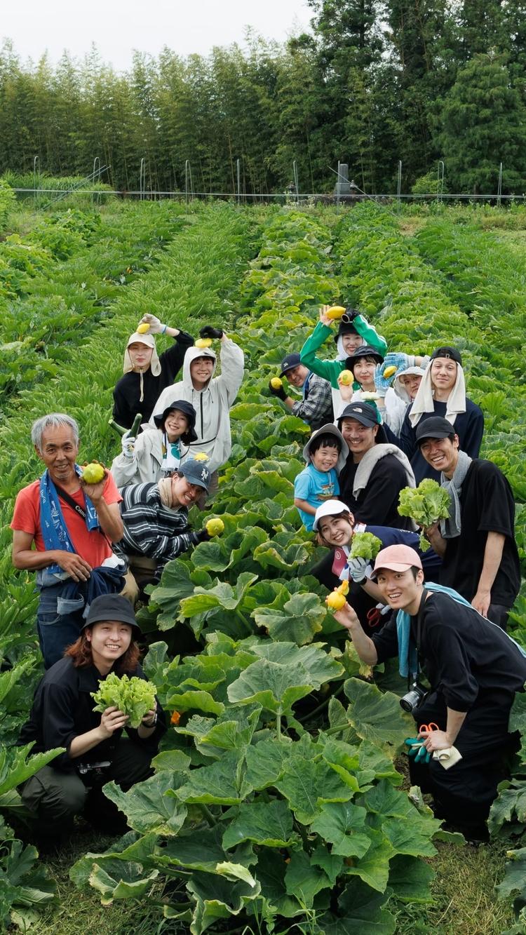 みんなで農家さんにて収穫研修