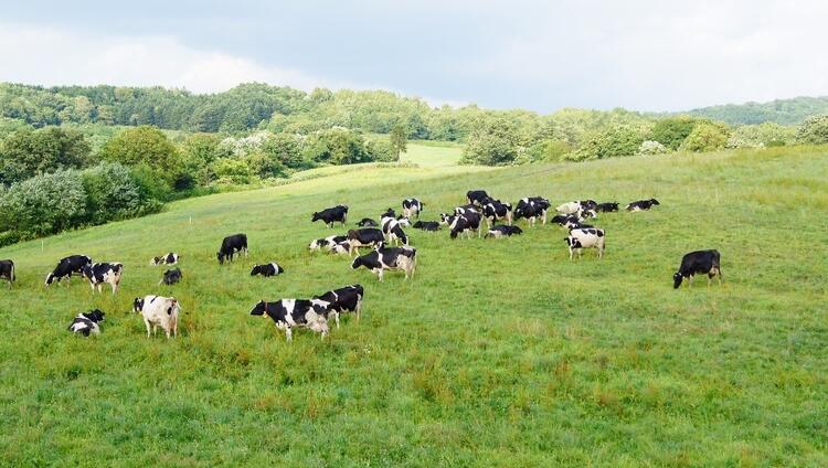 のびのびと気持ちよく働けます！