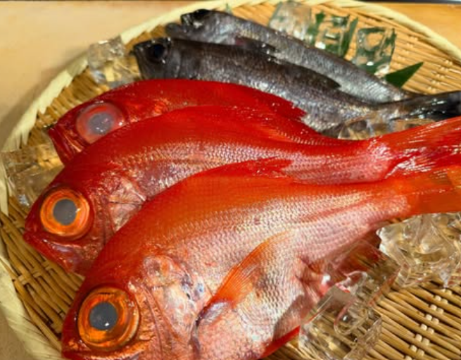 新鮮な鮮魚が自慢の居酒屋です