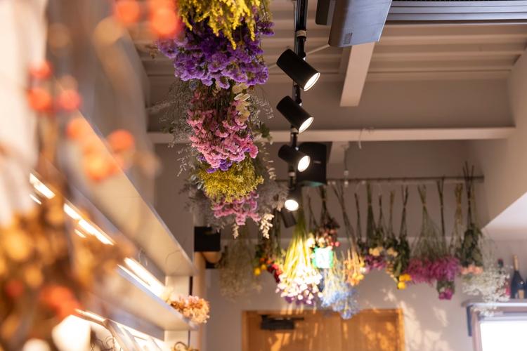 カフェニトロの詳細画像1