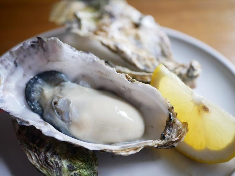 広島から直送！旬の食材を扱います