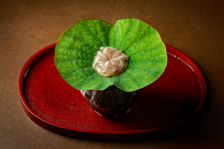 一石三鳥 別邸の詳細画像8