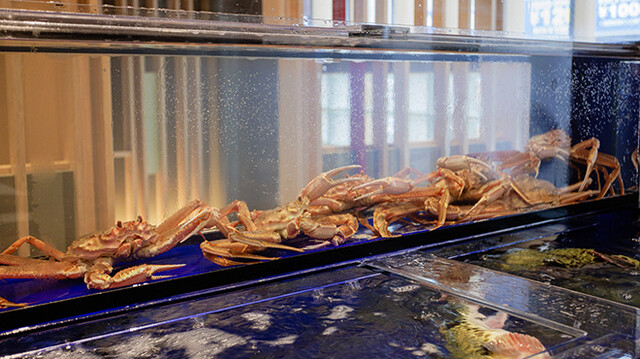 当店ならではのスキルが身につきます！