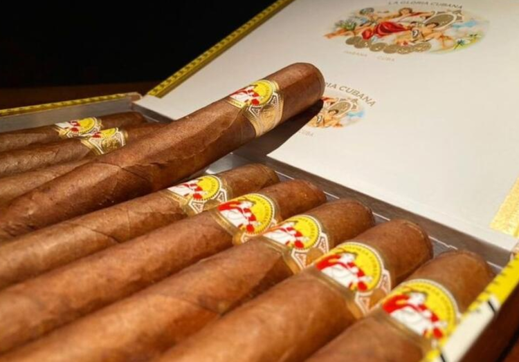 葉巻の知識も身につく※姉妹店画像