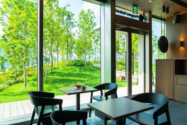 緑あふれる空間で一緒に働きませんか？