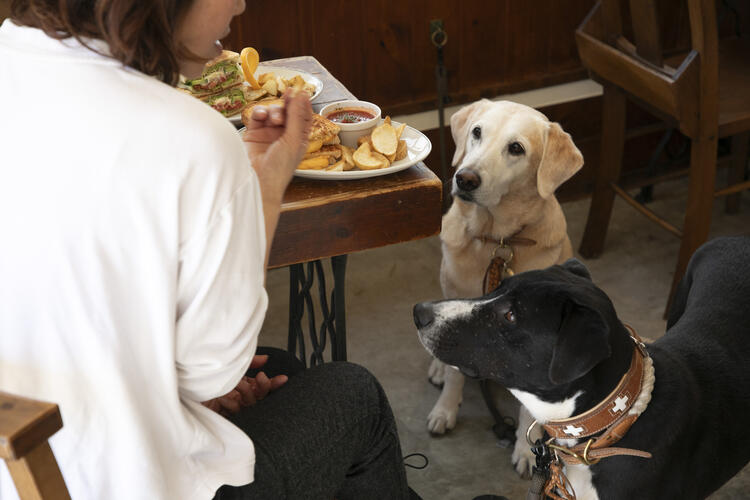 代々木公園近くの愛犬OKなお店♪