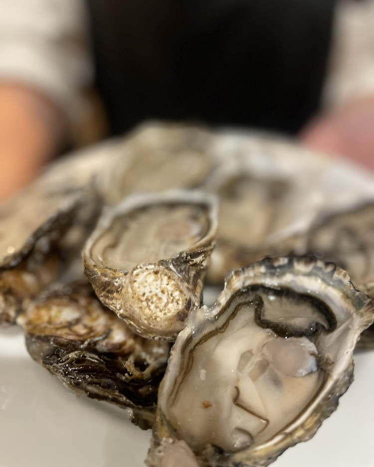 豊洲市場直送の海鮮がこだわり◎