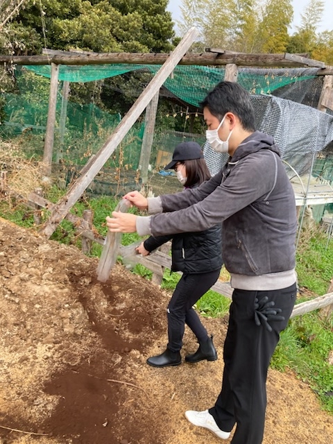 食品の端材は堆肥にして自社畑へ
