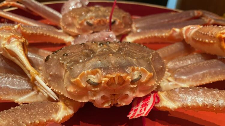 かに・ふぐの魅力を国内外の皆さまにお届け