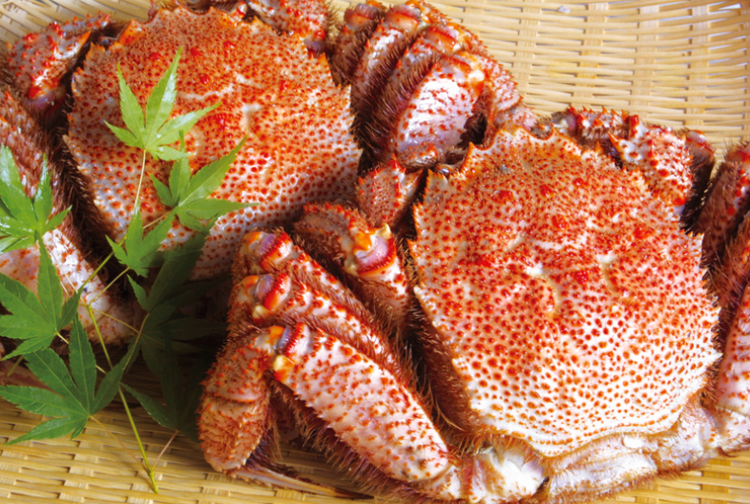 北海道寿し居酒屋 おたる亭 すすきのビル店の詳細画像5