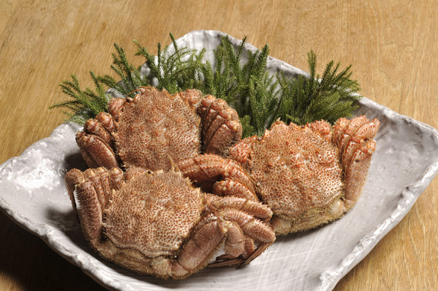 酒肴酒菜 掌の詳細画像5