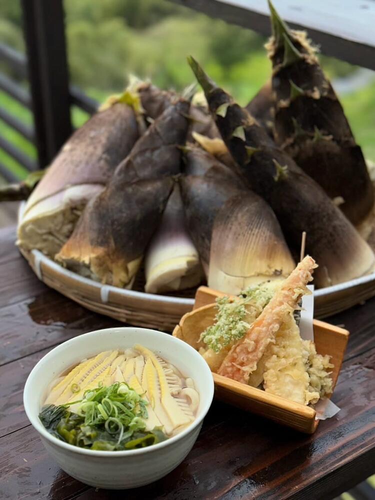 揚げたて天ぷらと讃岐うどん♪