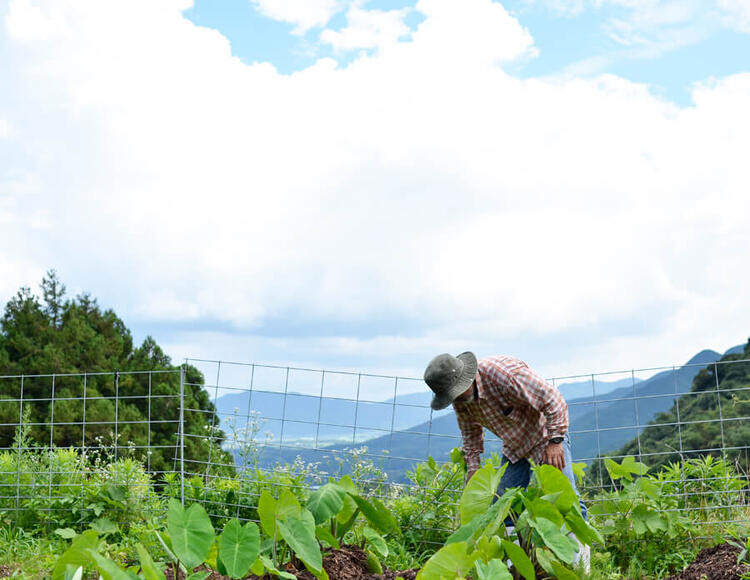 農業についても学べます◎