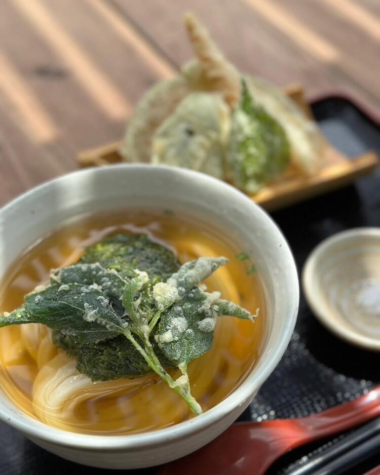 自社農園の有機野菜をふんだんに使用！