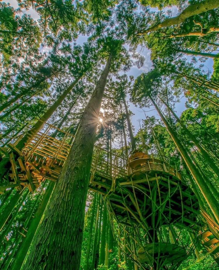 大自然のなかでのびのびと働きませんか？