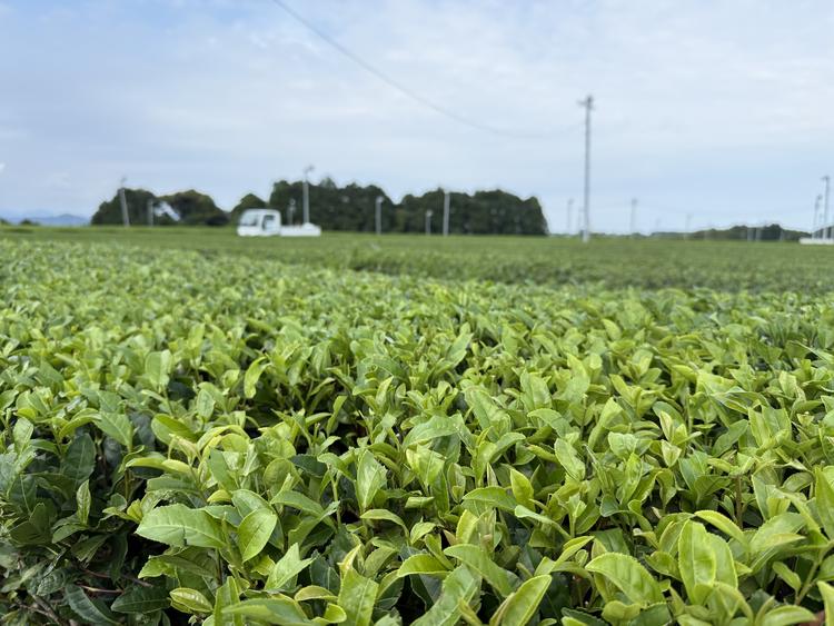 社内研修制度あり！　※既存店画像