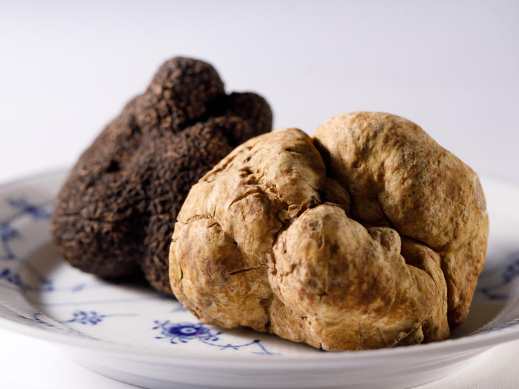 冬の白トリュフもお客様から好評です！