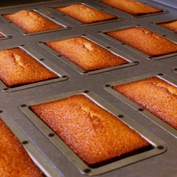 経験者はさらにスキルアップを目指せる！