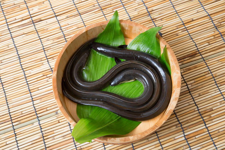 こだわりの鰻店が難波に新規OPEN◎