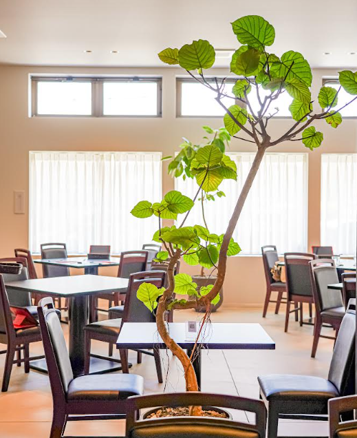 ピザ窯もあるお店です ※写真はイメージ