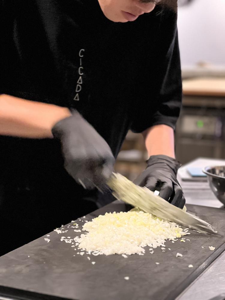 CICADAの詳細画像5