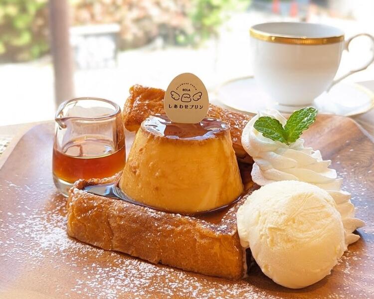 ＼新規出店計画あり／