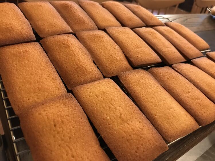 ご応募をお待ちしています！