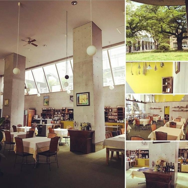 緑あふれる東京大学キャンパス内