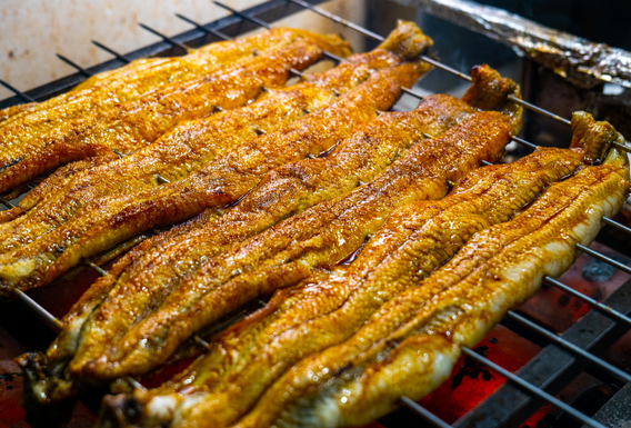 ＼和食経験者を探しています／