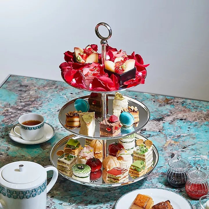 世界トップレベルの料理を学べます