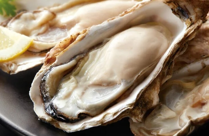 新鮮な魚介を使ったお店