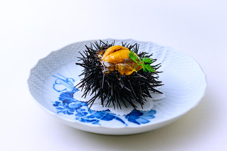 産地直送の食材の数々、