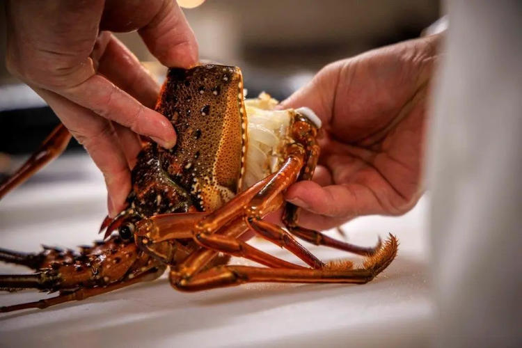 LAT.34°N by 蒼の詳細画像5