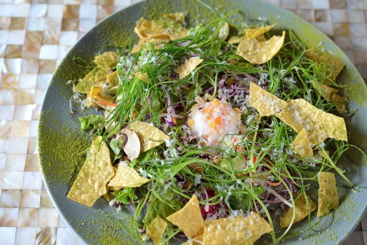 スキルをアップデートするならココ！