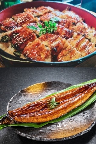 鰻長焼きやひつまぶしでの提供を想定