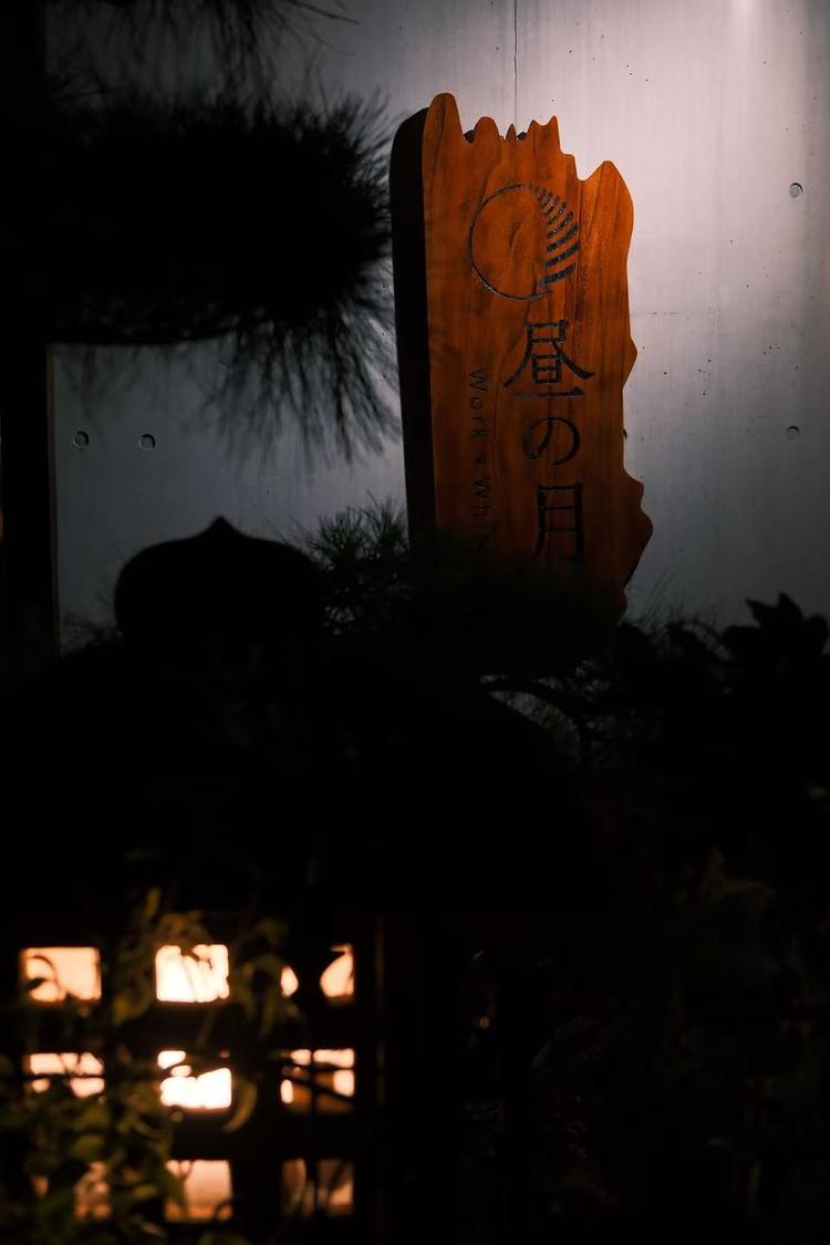 昼の月の詳細画像2