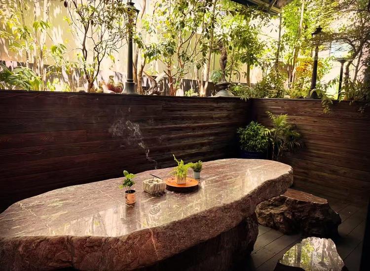 昼の月の詳細画像5