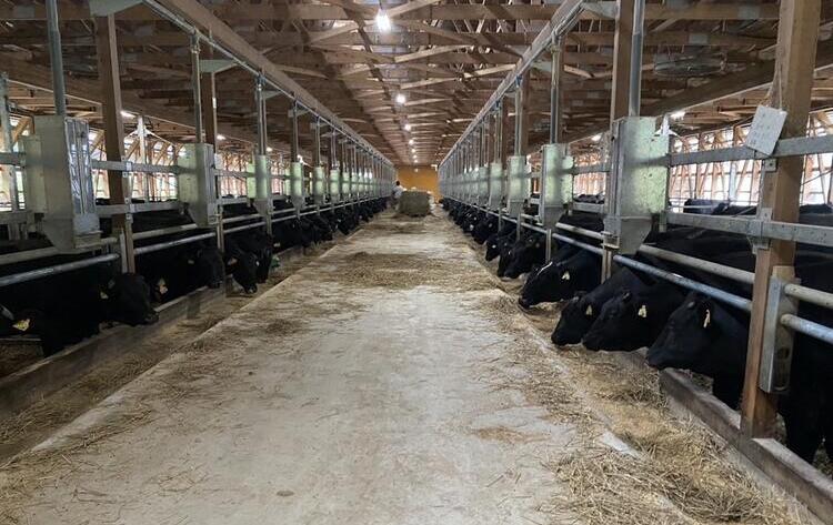 こだわりのお肉を扱えます