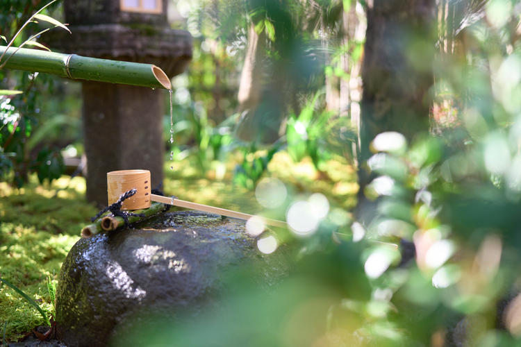 懐石の伝統に茶の湯や精進のエッセンスを