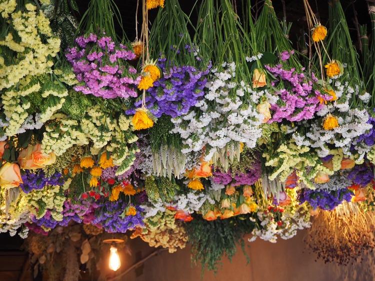 Lecoin　ルコワンの詳細画像3