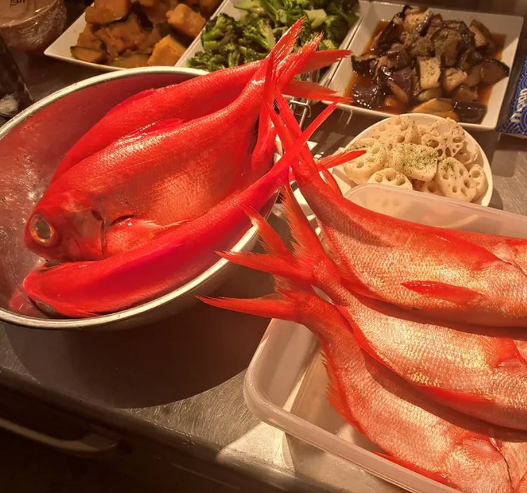 伊豆下田の旬の食材を使っています◎