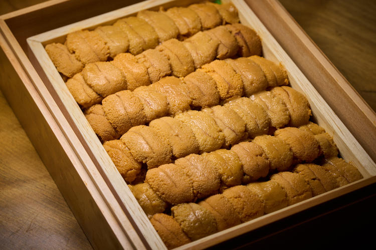 じっくりスキルを身につけていける環境