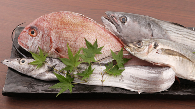 ご応募をお待ちしております♪