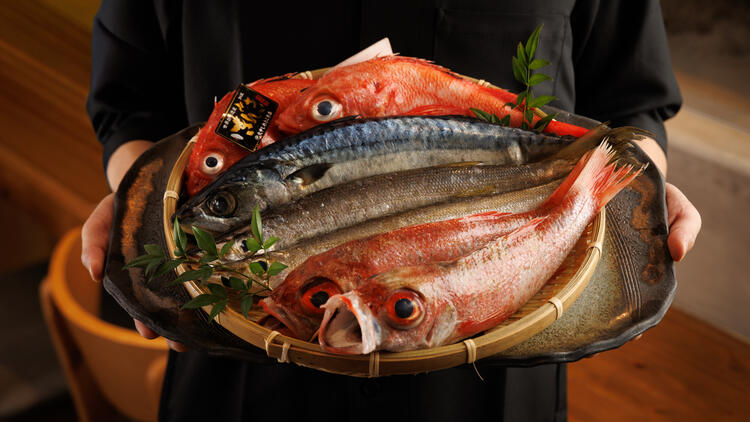 一生物のスキルを習得しませんか？