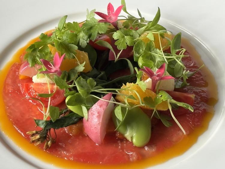 鎌倉野菜、三崎港の鮮魚など旬の素材☆