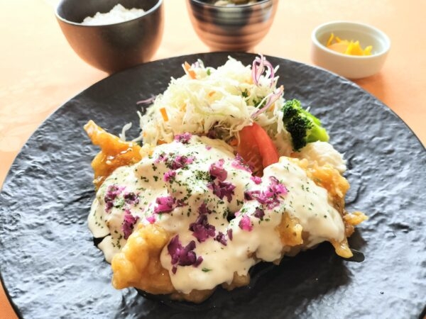 新しい仲間をお待ちしています！