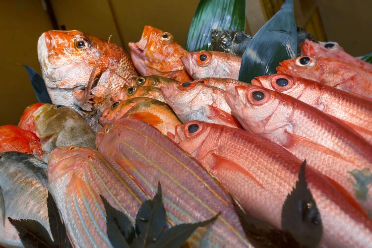 仲卸直営ならではの厳選食材を使用