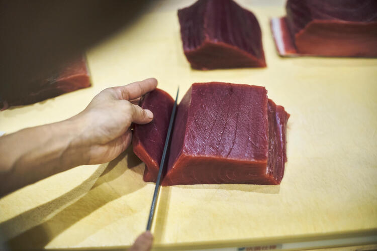 豊洲市場直送の鮮魚をご提供