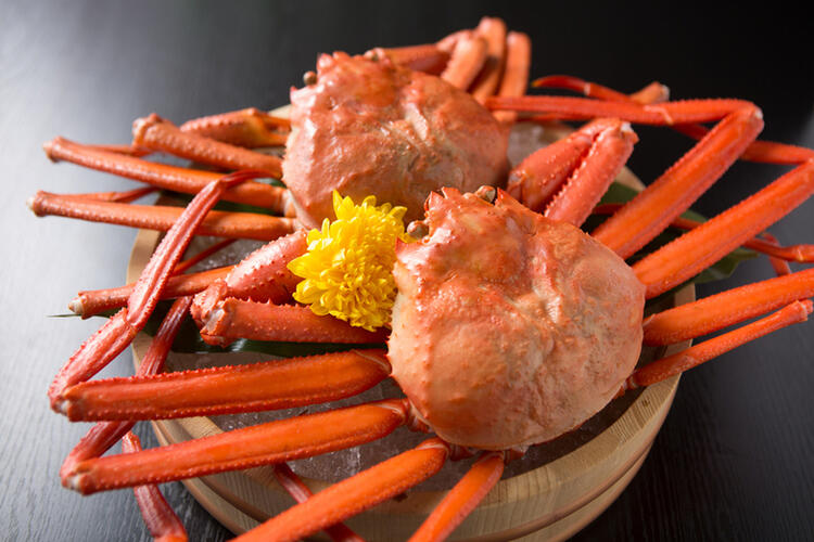 体制強化のための募集♪