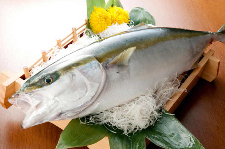 地元漁師から直送の魚介★